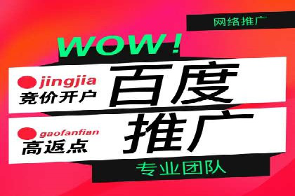 百度搜索推广的成功案例：企业如何实现精准营销
